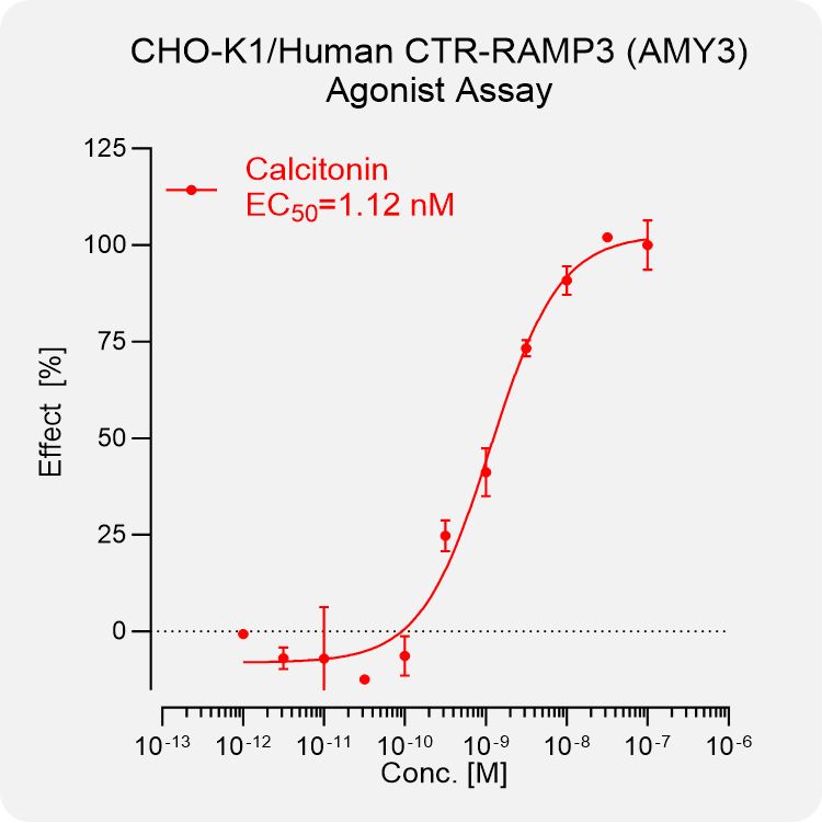 CHO-K1 Human CTR-RAMP3 (AMY3) Stable Cell