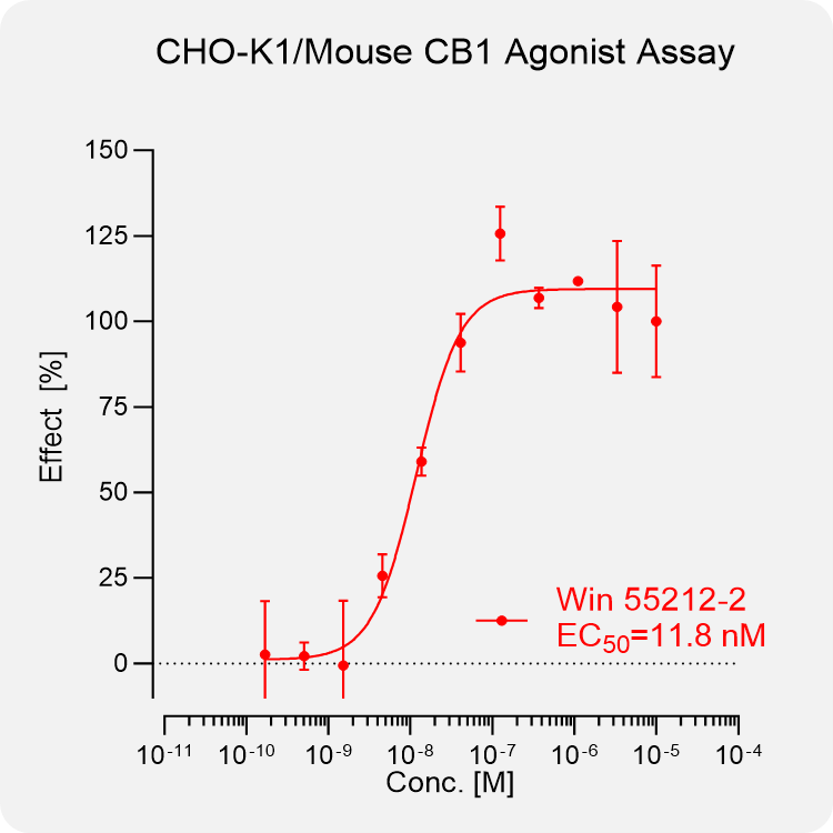 CHO-K1 Mouse CB1 Stable Cell