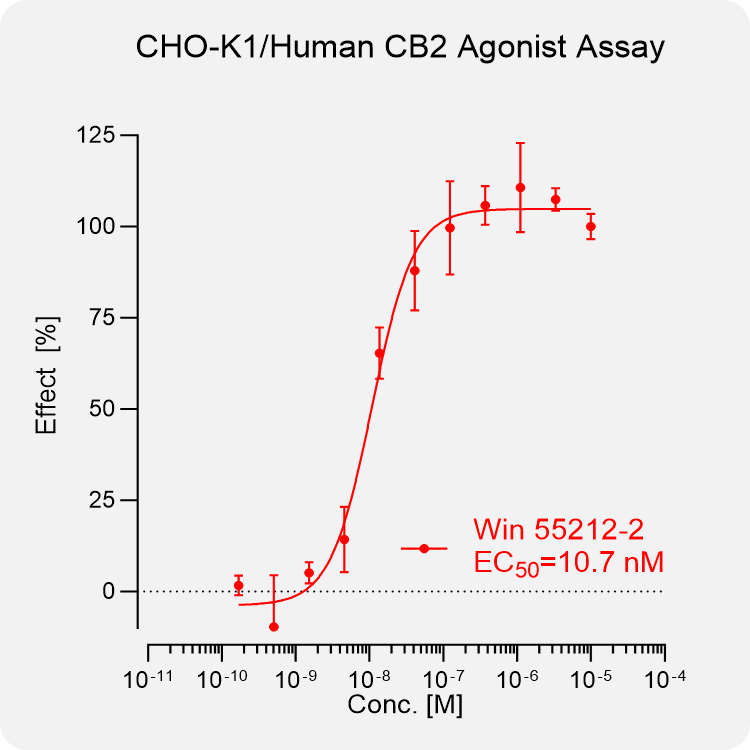 CHO-K1 Human CB2 Stable Cell
