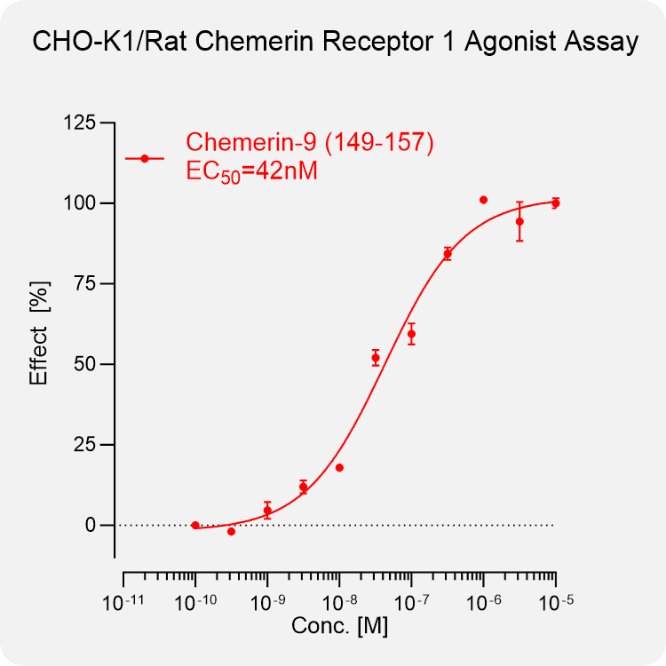 CHO-K1 Rat Chemerin 1 Stable Cell