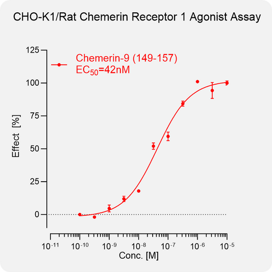 CHO-K1 Rat Chemerin 1 Stable Cell