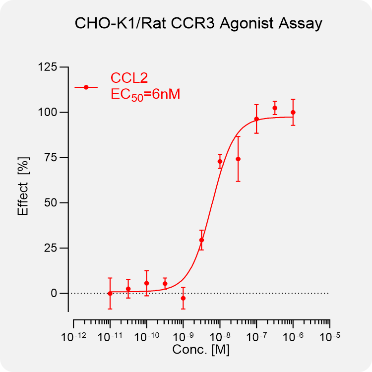 CHO-K1 Rat CCR3 Stable Cell