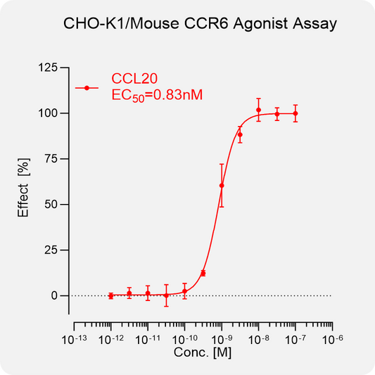 CHO-K1 Mouse CCR6 Stable Cell