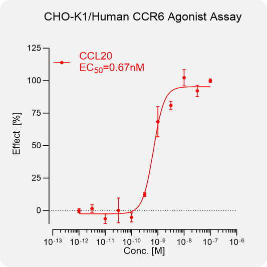 CHO-K1 Rat CCR6 Stable Cell
