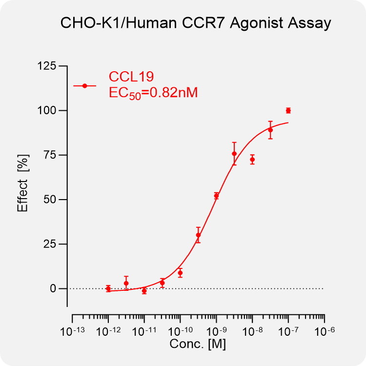 CHO-K1 Human CCR7 Stable Cell