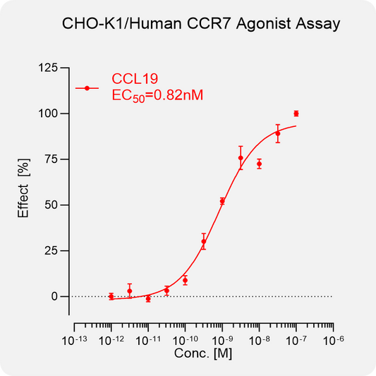 CHO-K1 Human CCR7 Stable Cell
