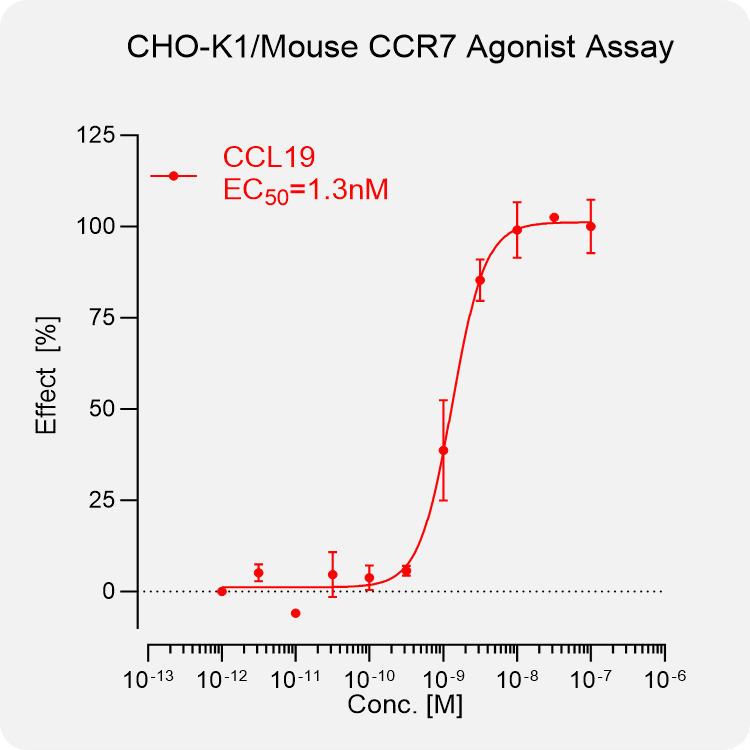 CHO-K1 Mouse CCR7 Stable Cell