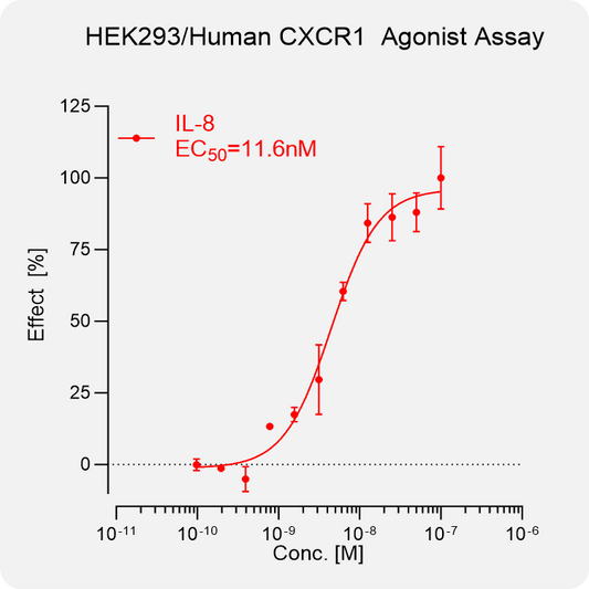 HEK293 Human CXCR1 Stable Cell