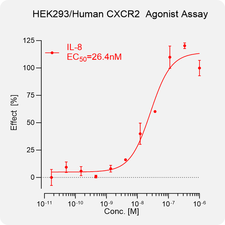 HEK293 Human CXCR2 Stable Cell