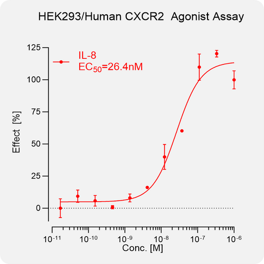HEK293 Human CXCR2 Stable Cell