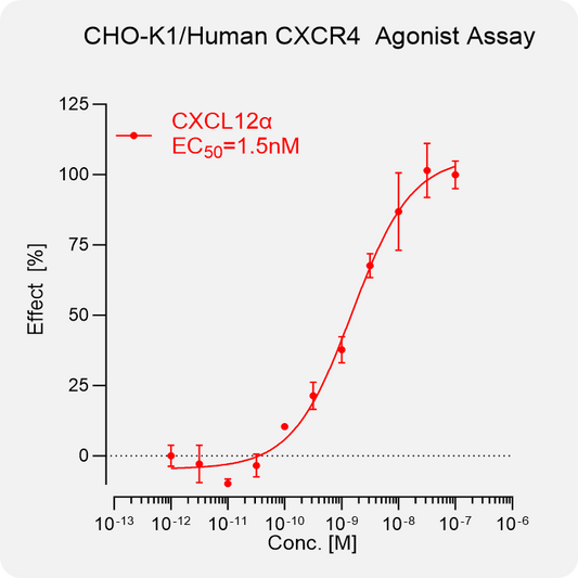 CHO-K1 Human CXCR4 Stable Cell