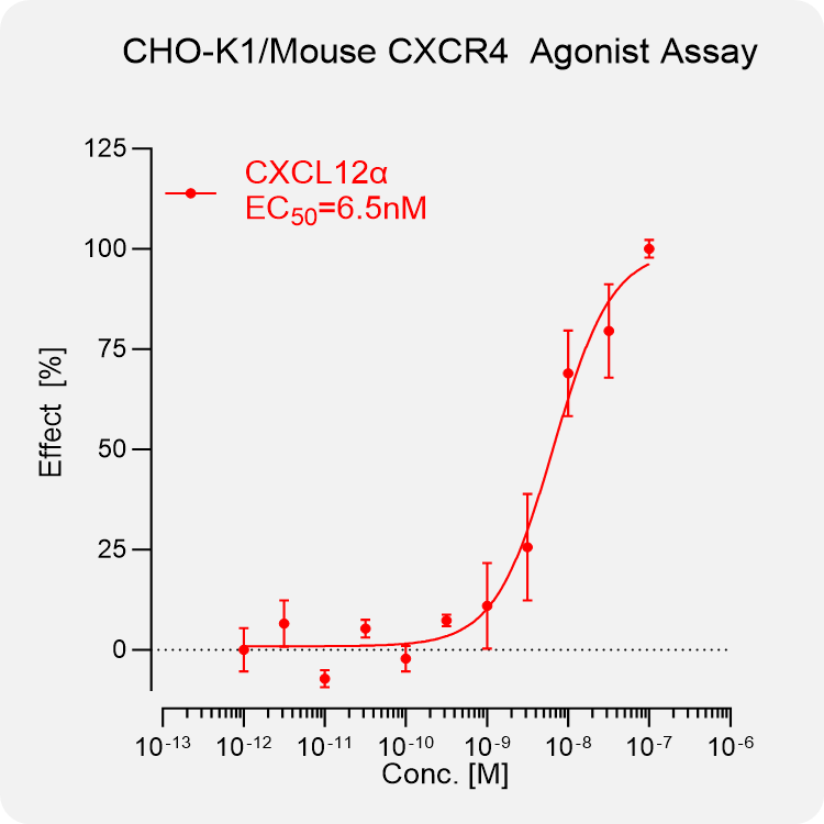 CHO-K1 Mouse CXCR4 Stable Cell