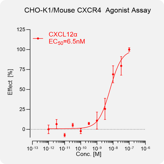 CHO-K1 Mouse CXCR4 Stable Cell