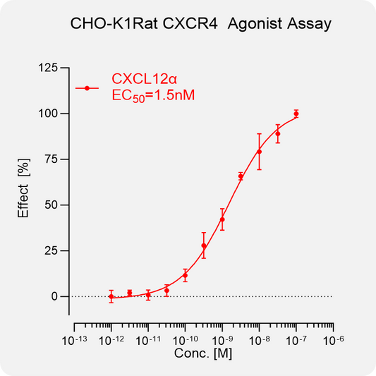 CHO-K1 Rat CXCR4 Stable Cell