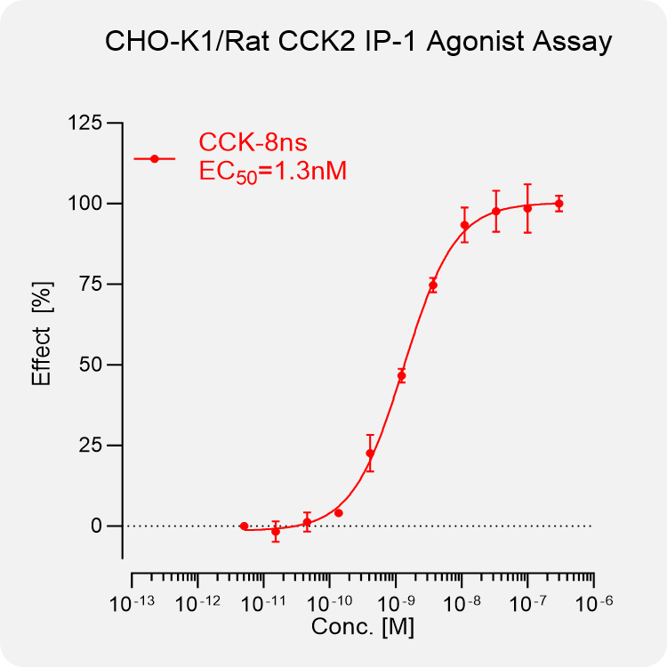 CHO-K1 Rat CCK2 Stable Cell
