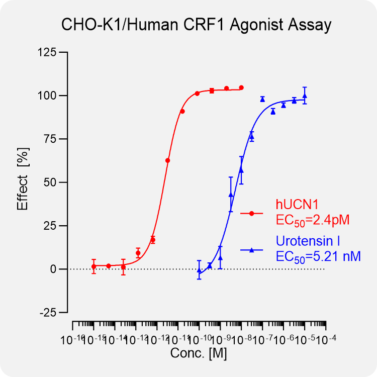 CHO-K1 Human CRF1 Stable Cell