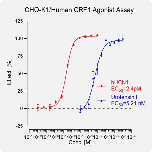 CHO-K1 Human CRF1 Stable Cell