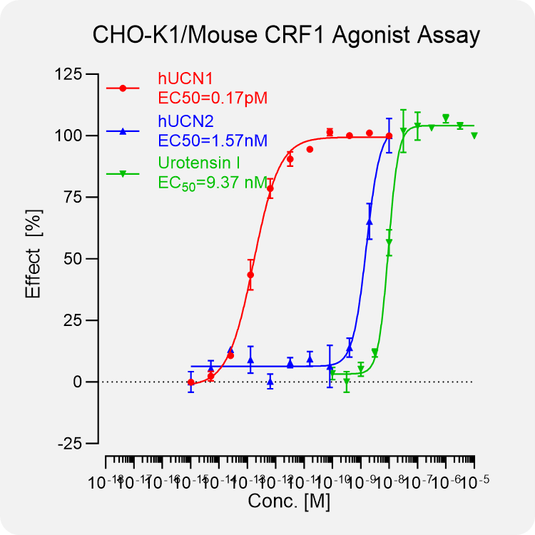 CHO-K1 Mouse CRF1 Stable Cell