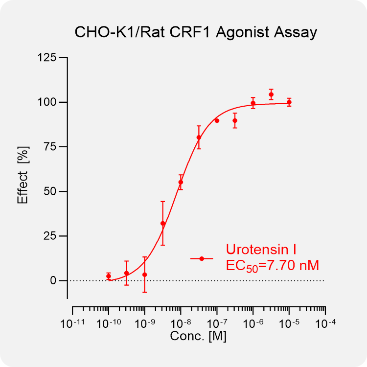 CHO-K1 Rat CRF1 Stable Cell