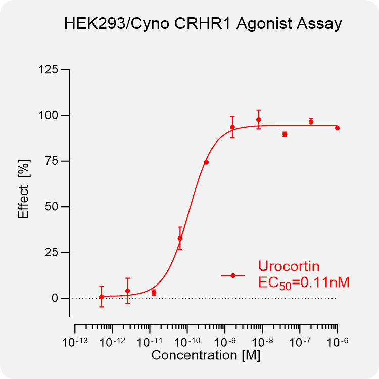 HEK293 Cyno CRHR1 Stable Cell