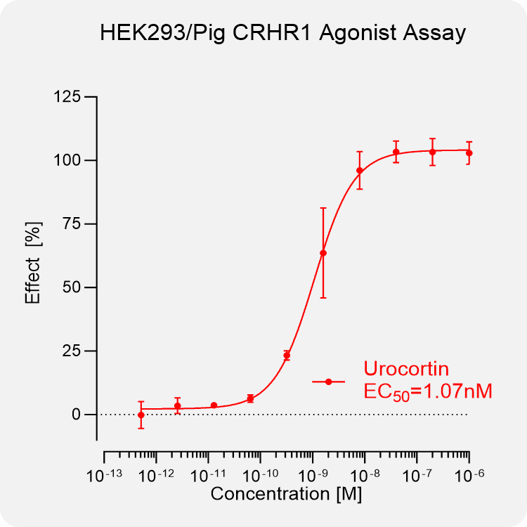 HEK293 Pig CRHR1 Stable Cell