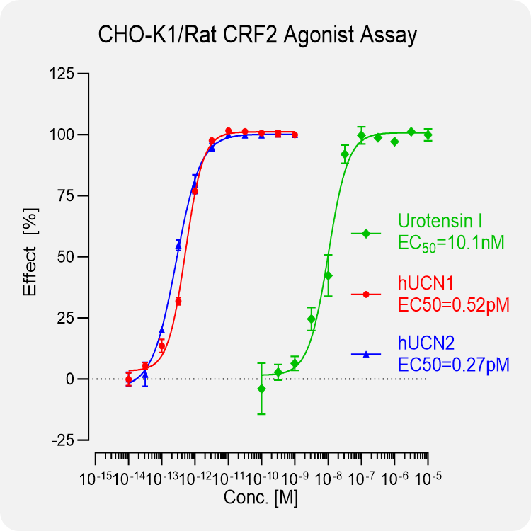 CHO-K1 Rat CRF2 Stable Cell
