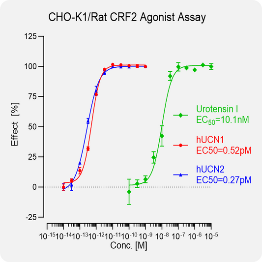 CHO-K1 Rat CRF2 Stable Cell