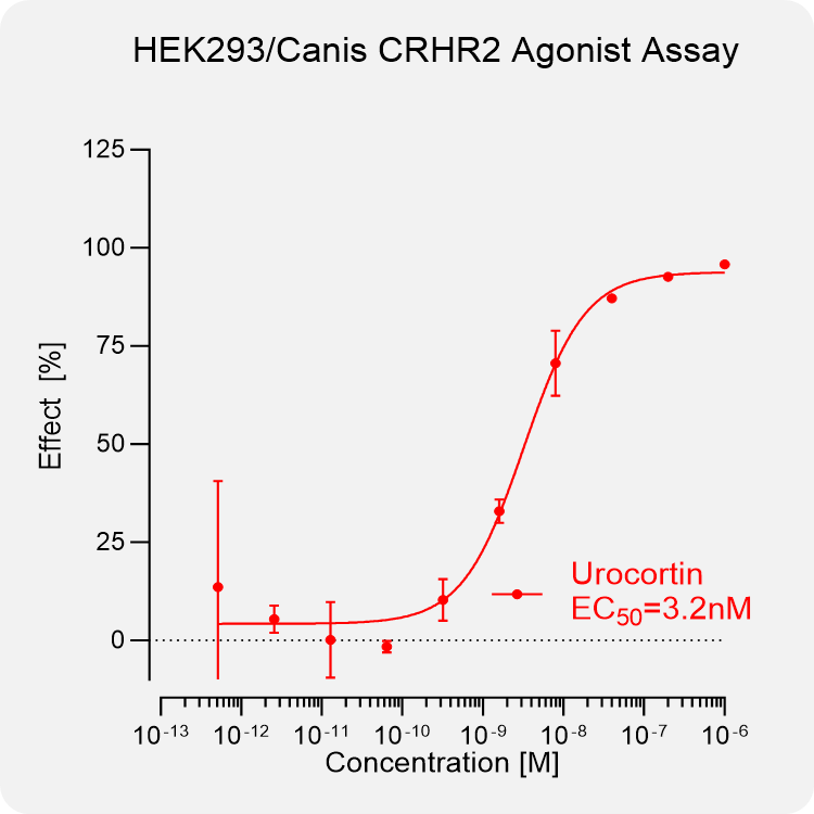 HEK293 Canis CRHR2 Stable Cell