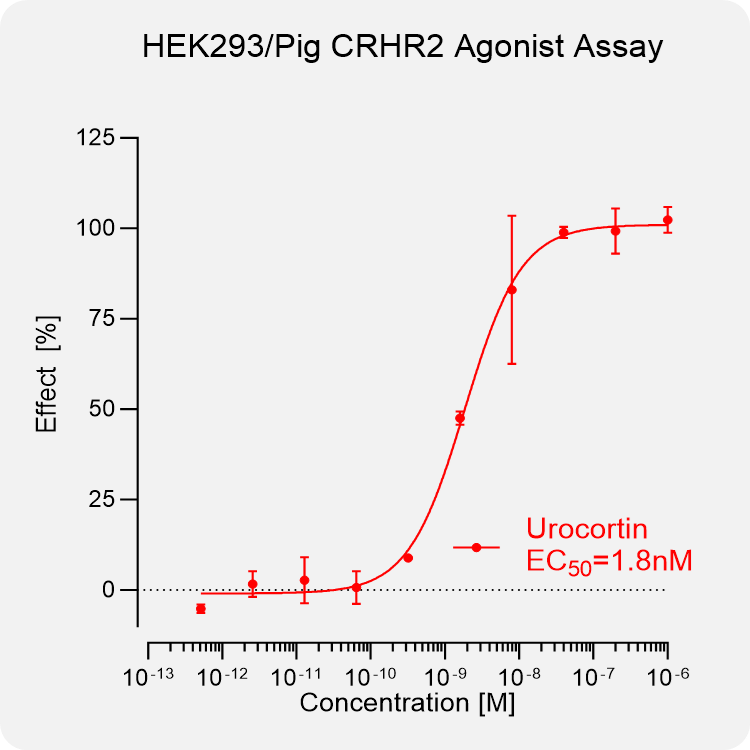 HEK293 Pig CRHR2 Stable Cell