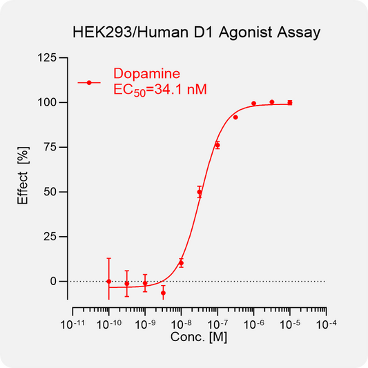 HEK293 Human D1 Stable Cell