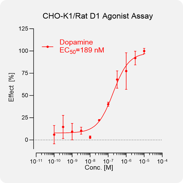 CHO-K1 Rat D1 Stable Cell