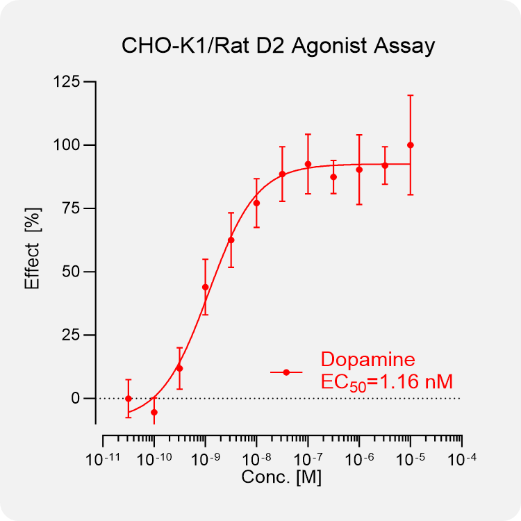 CHO-K1 Rat D2 Stable Cell
