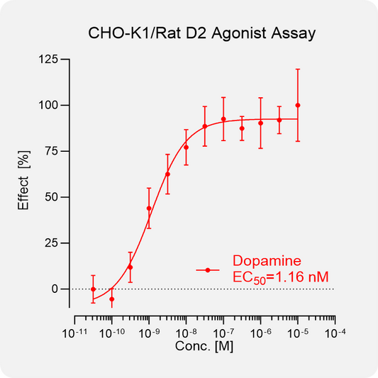 CHO-K1 Rat D2 Stable Cell