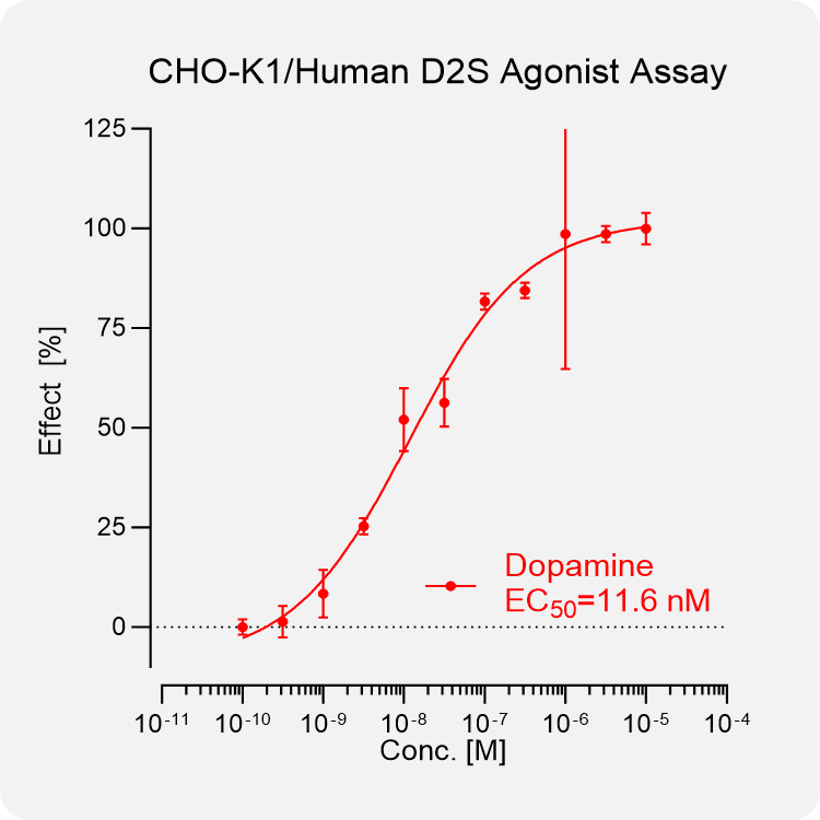 CHO-K1 Human D2S Stable Cell