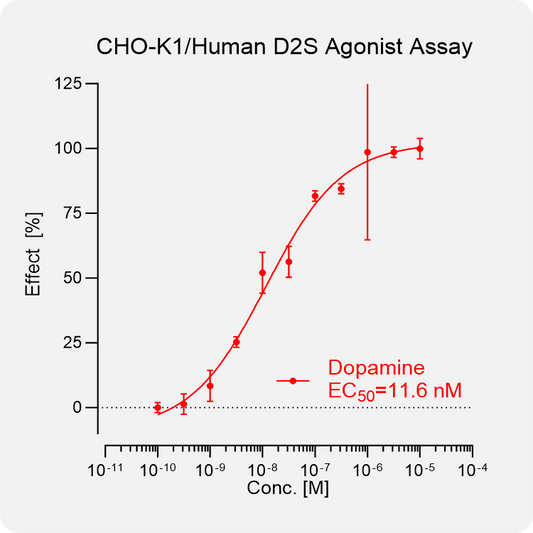 CHO-K1 Human D2S Stable Cell