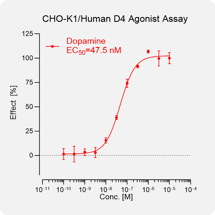CHO-K1 Human D4 Stable Cell