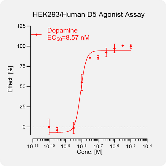 HEK293 Human D5 Stable Cell
