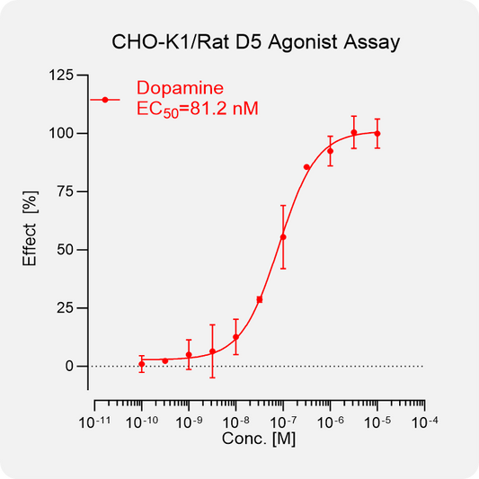 CHO-K1 Rat D5 Stable Cell