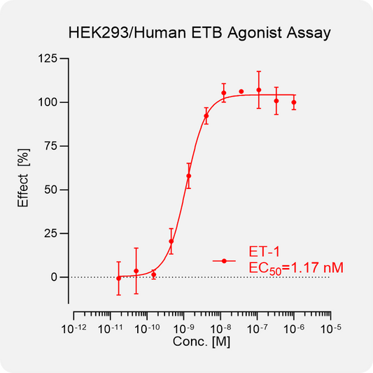 HEK293 Human ETB Stable Cell