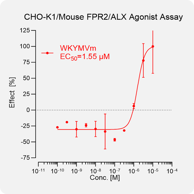 CHO-K1 Mouse FPR2-ALX Stable Cell