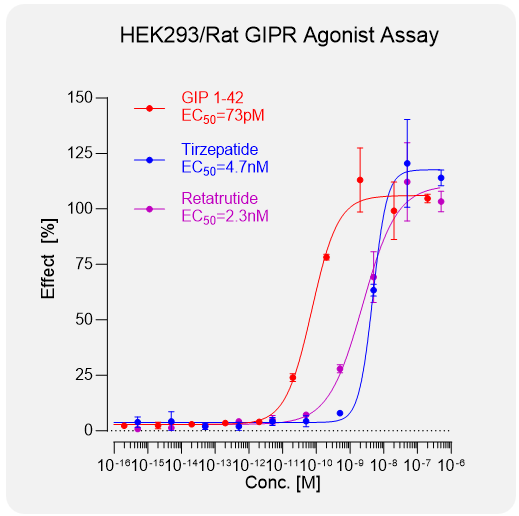 HEK293 Rat GIPR Stable Cell