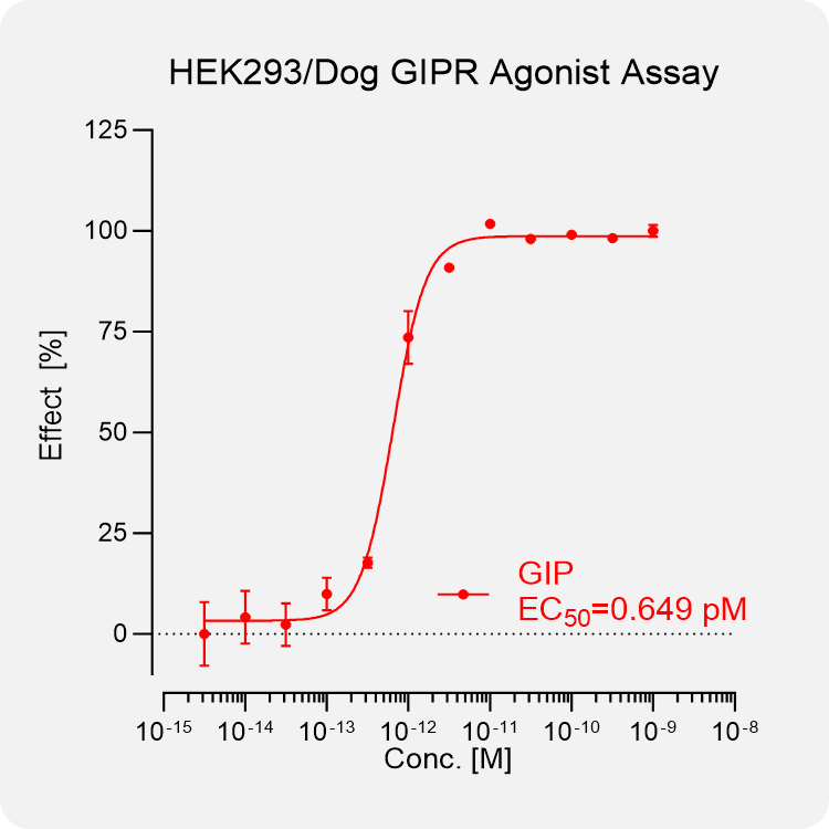 HEK293 Dog GIPR Stable Cell