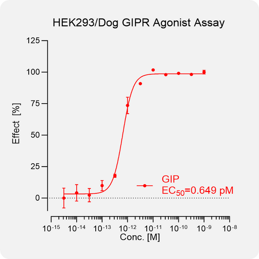 HEK293 Dog GIPR Stable Cell