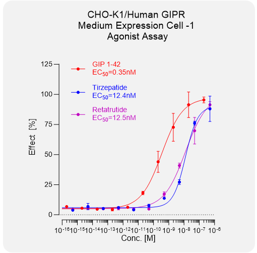 CHO-K1 Human GIPR Medium Expression Stable Cell