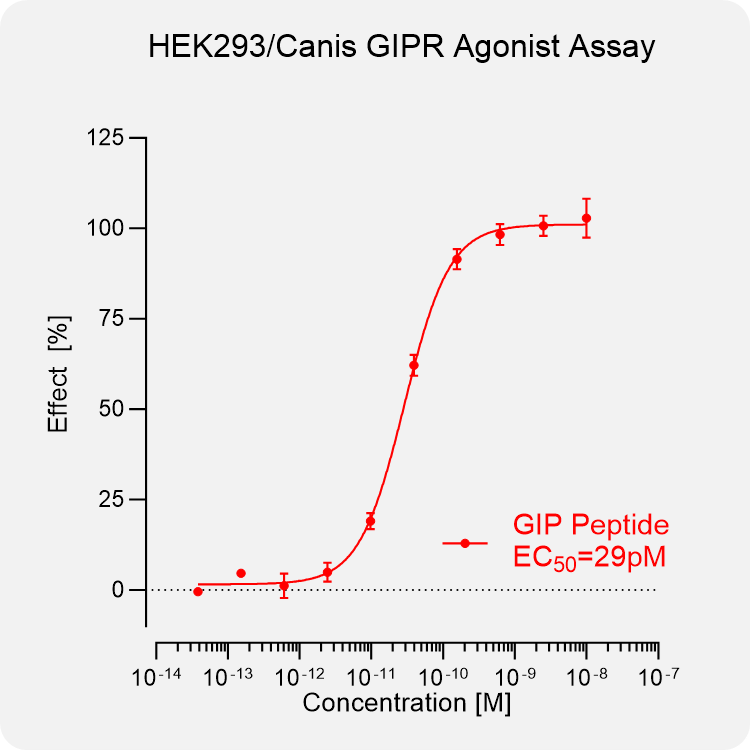 HEK293 Canis GIPR Stable Cell