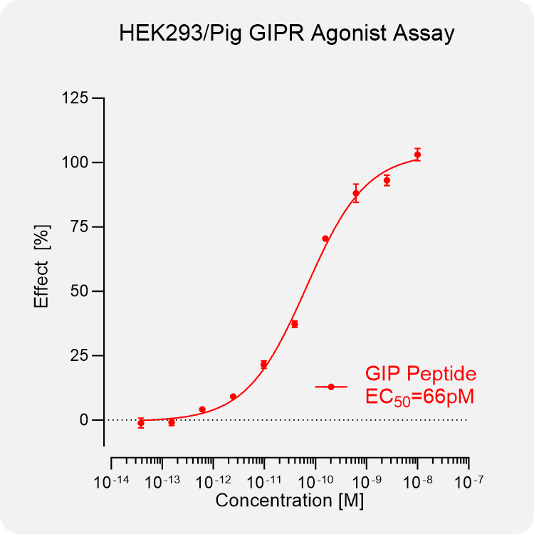 HEK293 Pig GIPR Stable Cell
