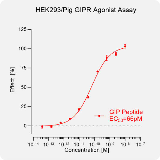 HEK293 Pig GIPR Stable Cell