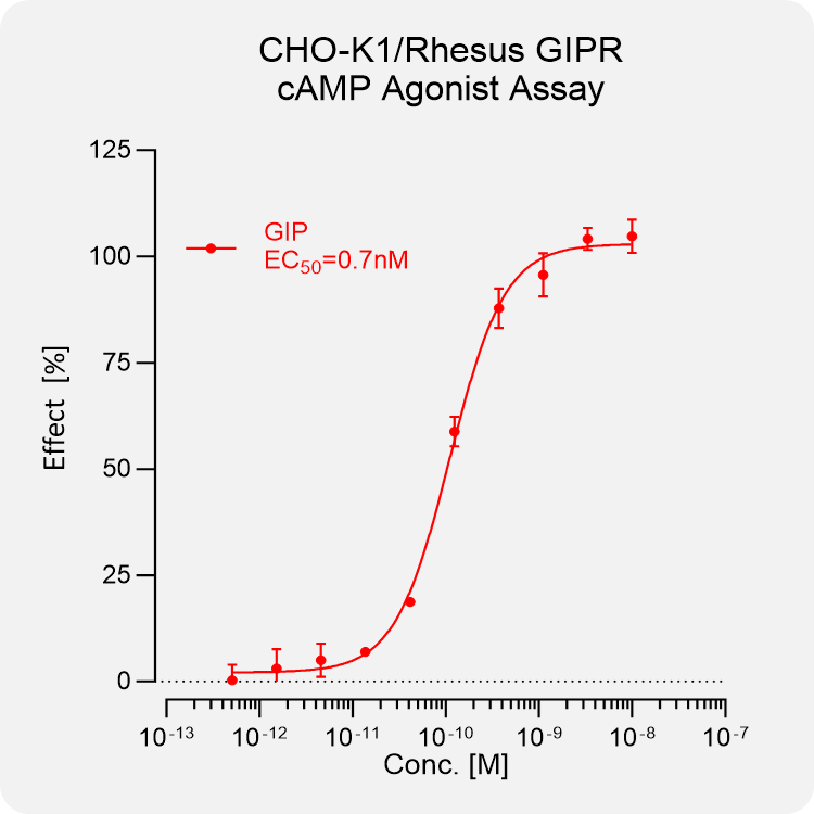 CHO-K1 Rhesus GIPR Stable Cell
