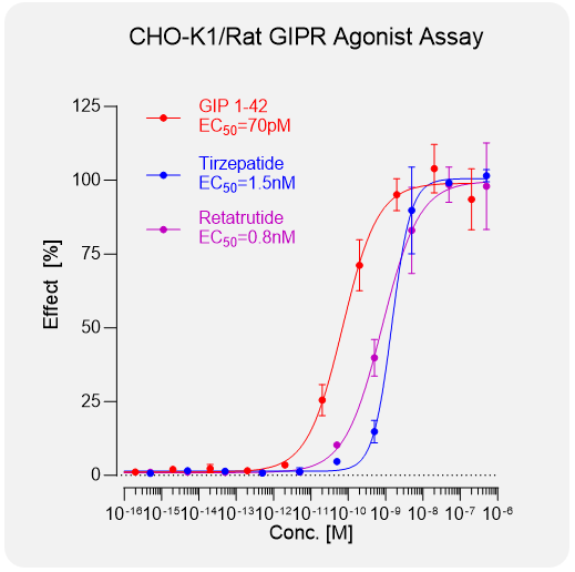CHO-K1 Rat GIPR Stable Cell