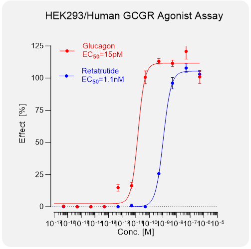 HEK293 Human GCGR Stable Cell